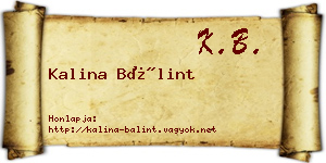 Kalina Bálint névjegykártya