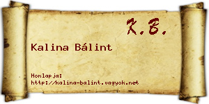 Kalina Bálint névjegykártya